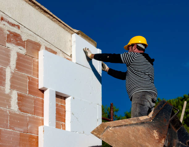 Best Insulation Maintenance and Repair in Venus, TX