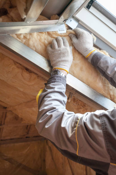 Best Commercial Insulation in Venus, TX